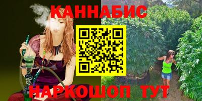 apvp Канаш