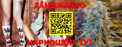 дживик Камышлов