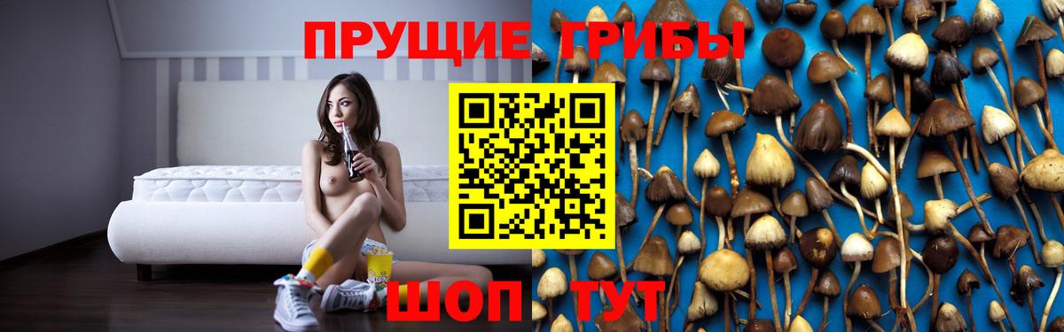 Псилоцибиновые грибы ЛСД  Вход с VPN  Галлюциногенные грибы Magic Shrooms  Домодедово 